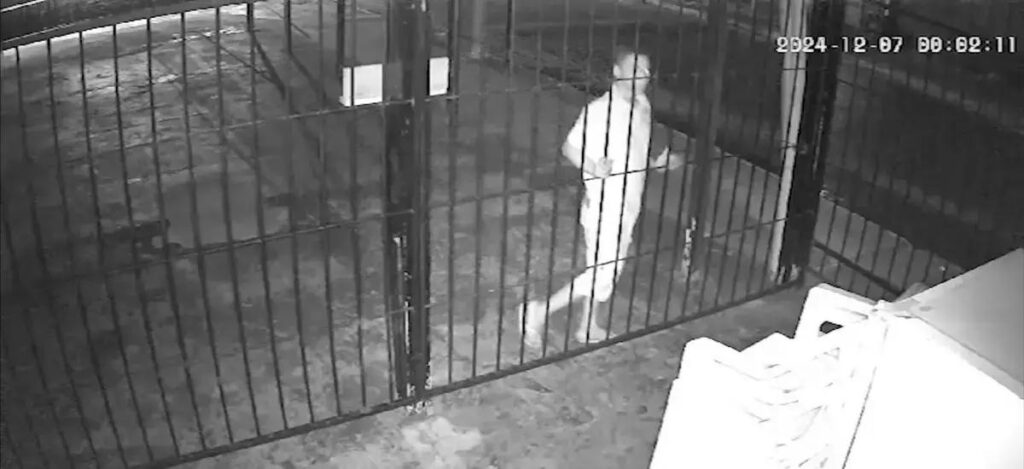 Tentativa de Furto: Homem Ataca Lanchonete em Gurupi à Madrugada